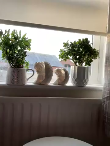 <h2>Loved by over 70,000+ customers</h2>