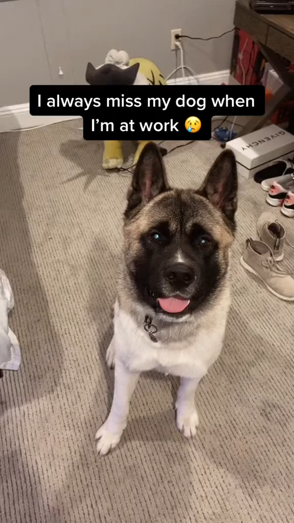 <h2>Loved by over 70,000+ customers</h2>